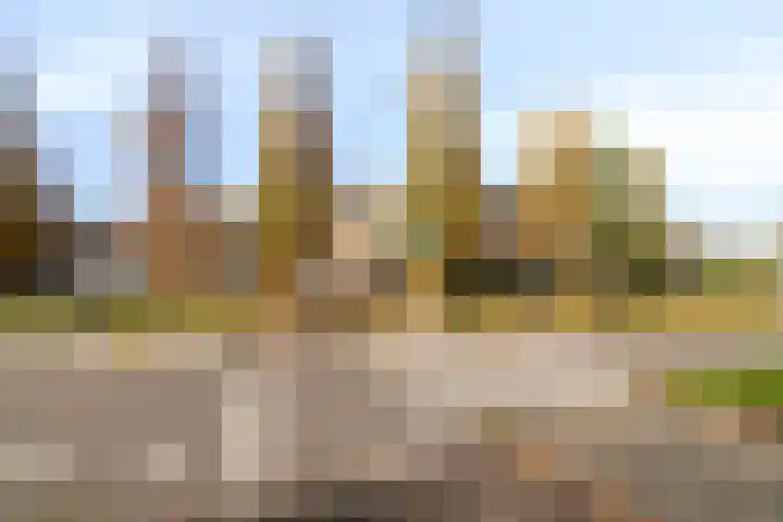 De Sonneveld 54 Heiloo thumbnail 29
