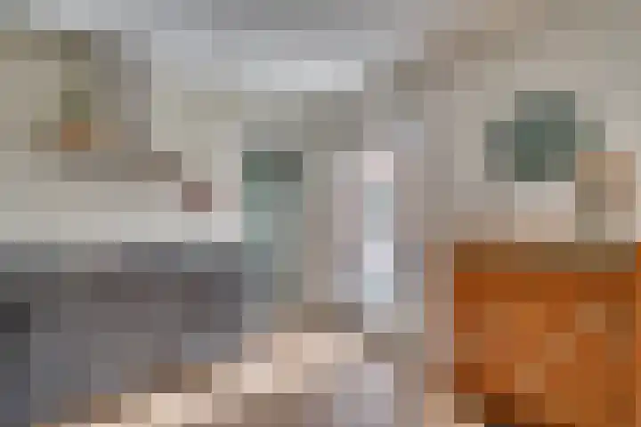 De Soom 2 c Grubbenvorst thumbnail 22