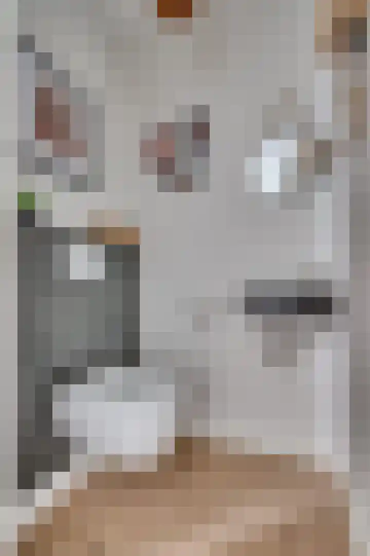De Soom 2 c Grubbenvorst thumbnail 4