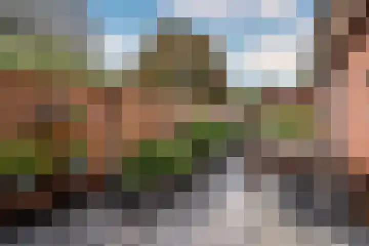 De Soom 2 c Grubbenvorst thumbnail 49
