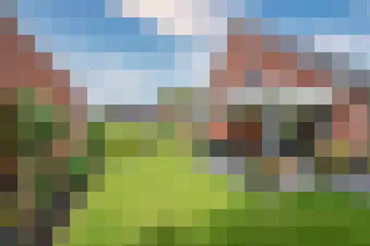 De Soom 2 c Grubbenvorst thumbnail 52