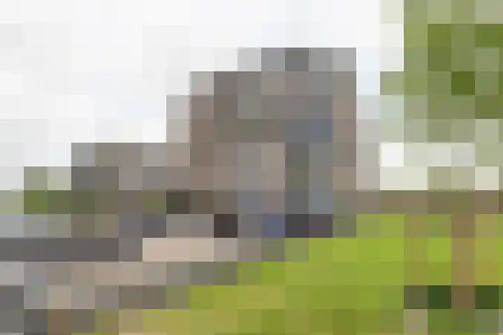 De Sorteur 8 Leerdam thumbnail 6