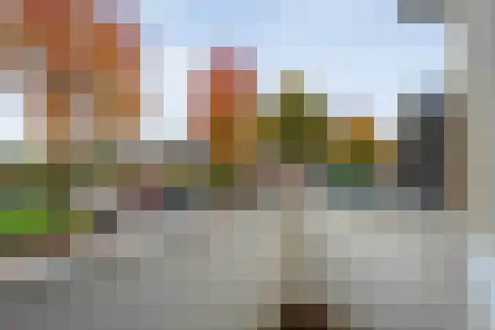 De Spa 38 Slagharen thumbnail 28