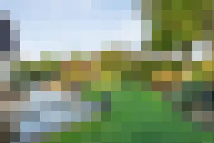 De Spa 38 Slagharen thumbnail 52
