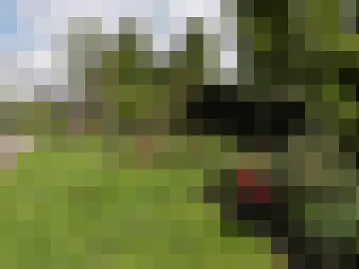 De Spa 38 Slagharen thumbnail 53