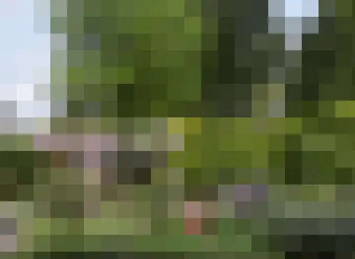 De Spa 38 Slagharen thumbnail 54