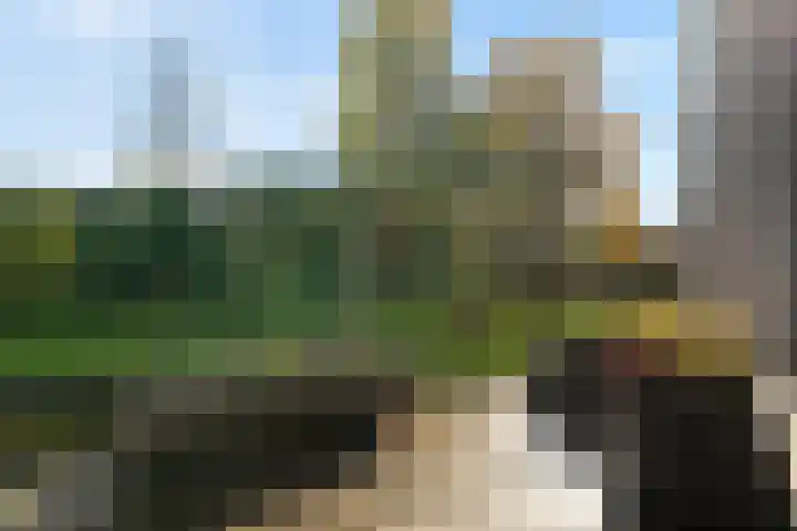 De Spa 38 Slagharen thumbnail 56