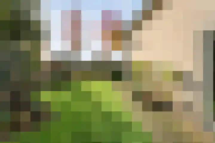 De Spa 38 Slagharen thumbnail 57