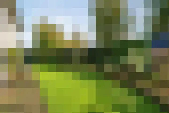 De Spa 38 Slagharen thumbnail 58
