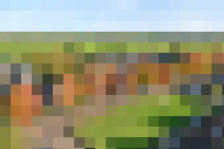 De Spa 38 Slagharen thumbnail 68