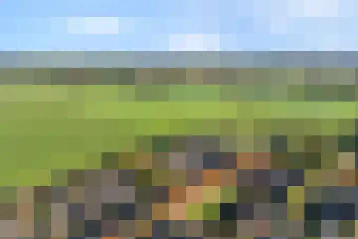 De Spa 38 Slagharen thumbnail 69