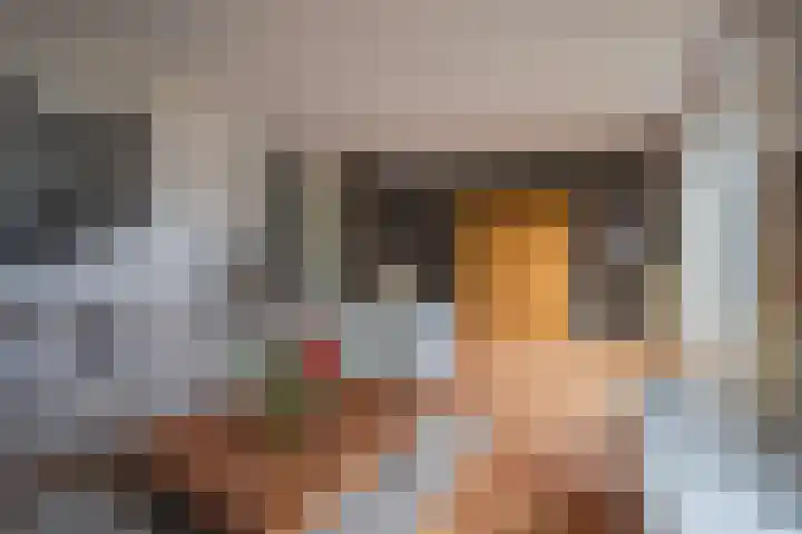 De Spade 10 Arnhem thumbnail 17