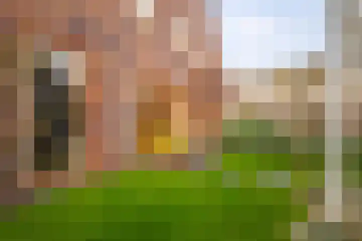 De Spade 10 Arnhem thumbnail 18