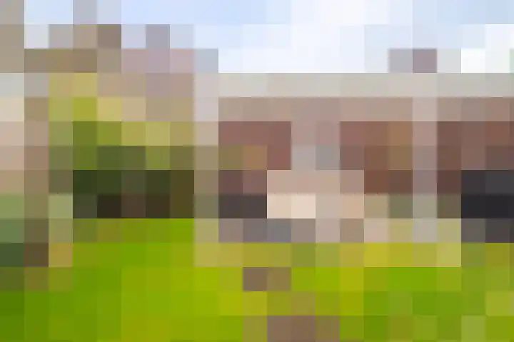 De Spade 10 Arnhem thumbnail 19