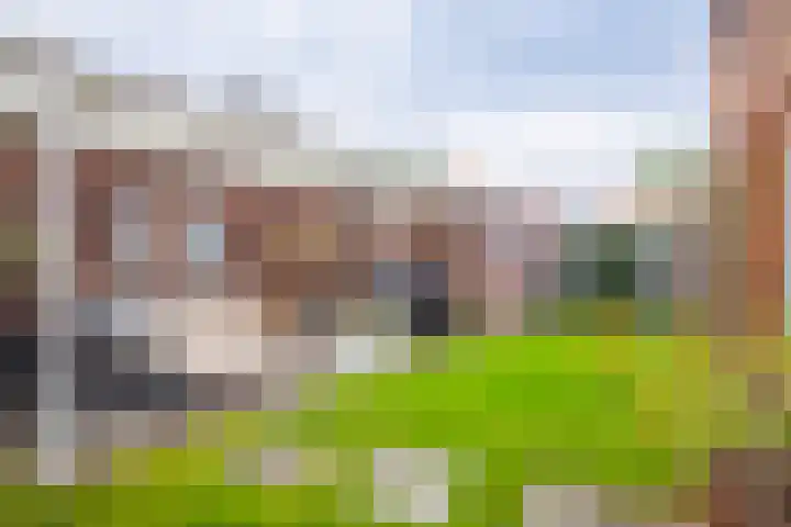 De Spade 10 Arnhem thumbnail 20