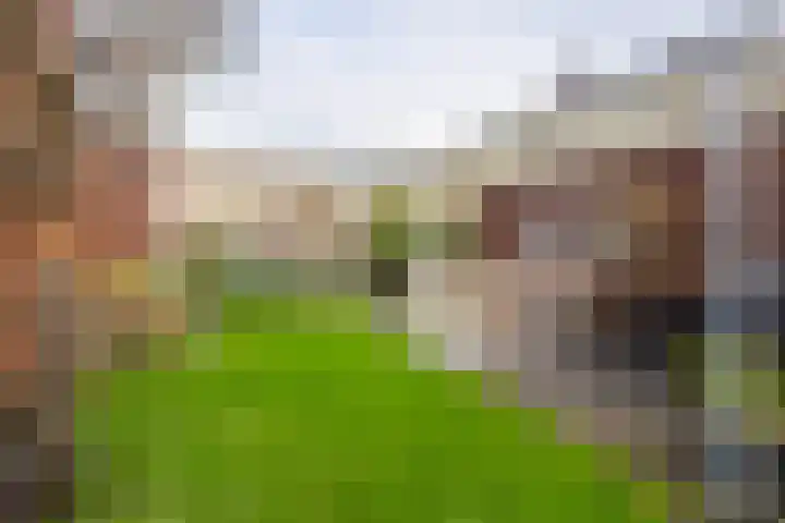 De Spade 10 Arnhem thumbnail 24