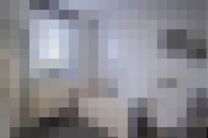 De Spade 10 Arnhem thumbnail 27