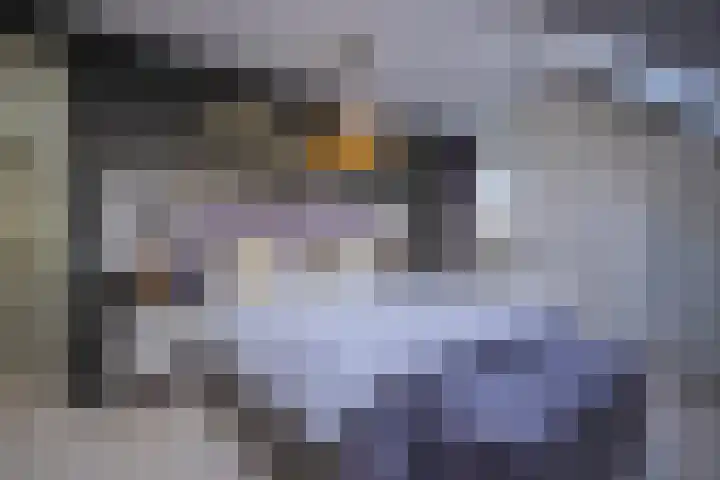 De Spade 10 Arnhem thumbnail 31