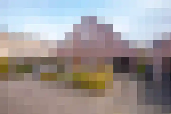 De Spade 10 Arnhem thumbnail 5