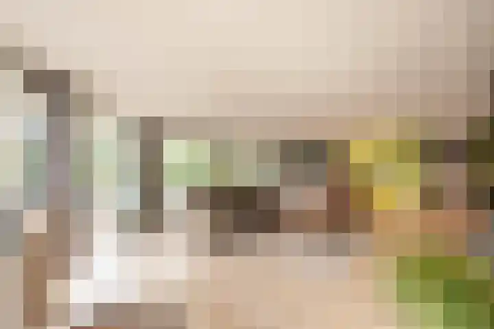 De Spiering 14 Schaijk thumbnail 10