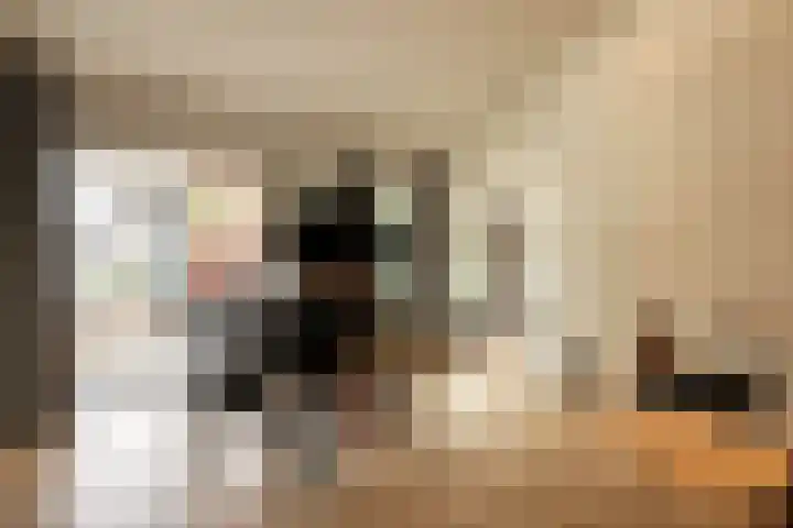De Spiering 14 Schaijk thumbnail 11