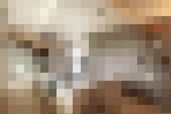 De Spiering 14 Schaijk thumbnail 16
