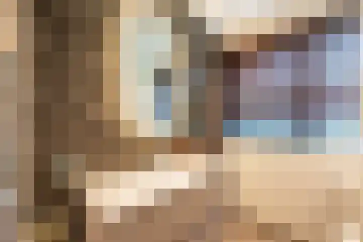 De Spiering 14 Schaijk thumbnail 26