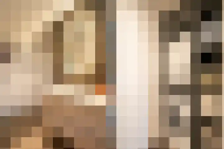 De Spiering 14 Schaijk thumbnail 28