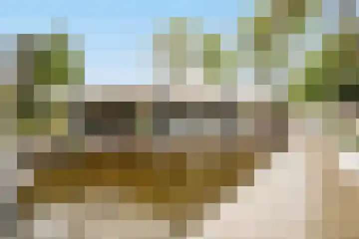 De Spiering 14 Schaijk thumbnail 35