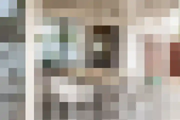 De Spiering 14 Schaijk thumbnail 36