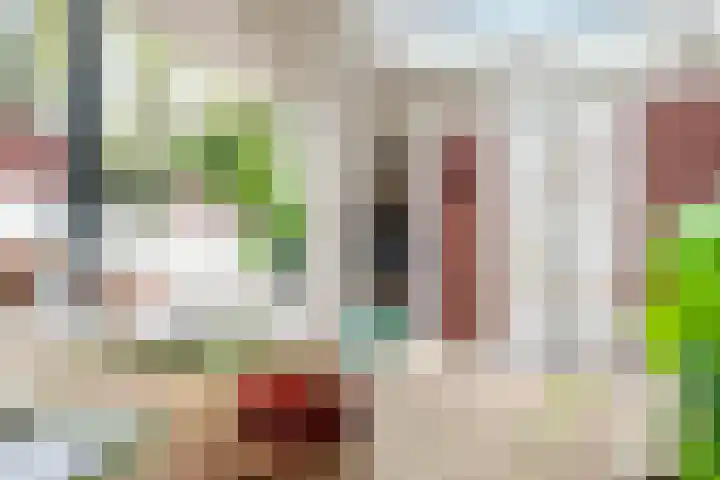 De Spiering 14 Schaijk thumbnail 37