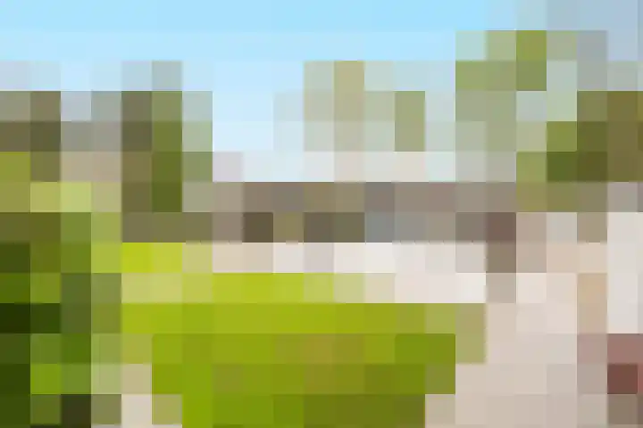 De Spiering 14 Schaijk thumbnail 4