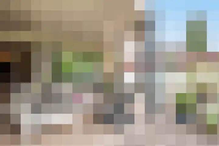 De Spiering 14 Schaijk thumbnail 41