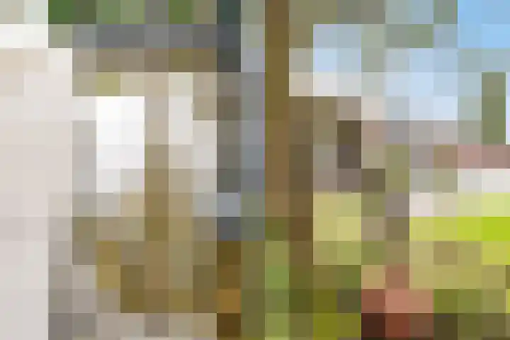 De Spiering 14 Schaijk thumbnail 42