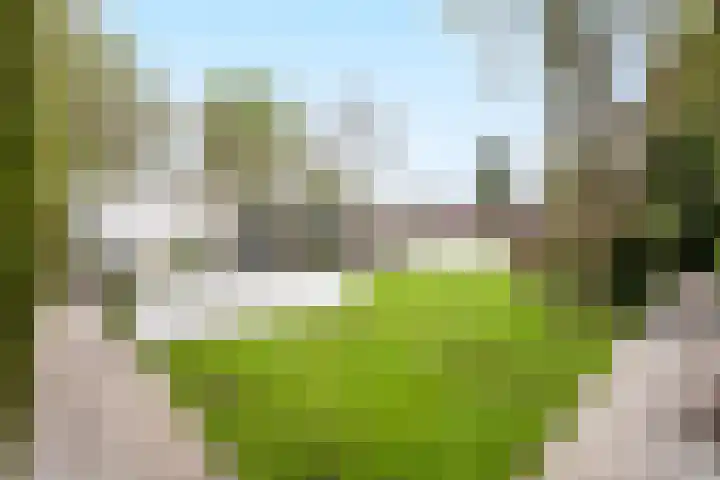 De Spiering 14 Schaijk thumbnail 45