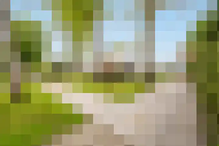De Spiering 14 Schaijk thumbnail 46