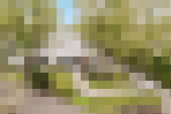 De Spiering 14 Schaijk thumbnail 50