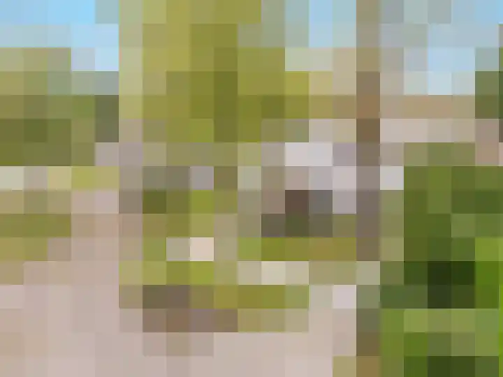 De Spiering 14 Schaijk thumbnail 53