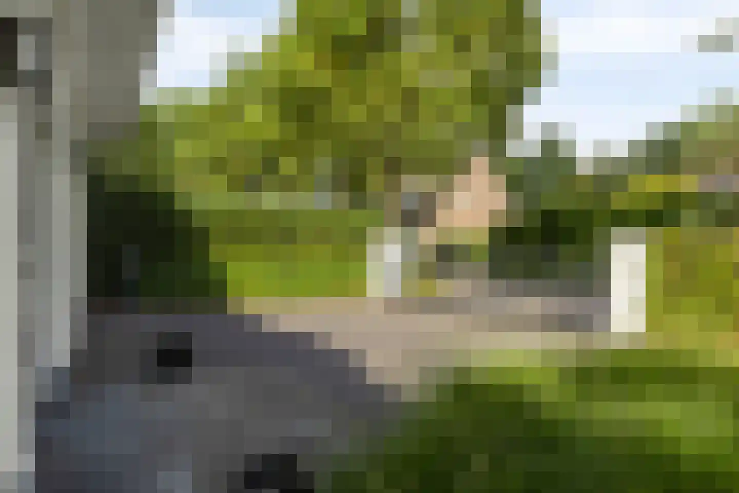 De Spijkert 6 Nuenen thumbnail 10