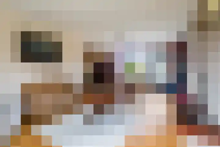 De Spil 7 Buitenpost thumbnail 12