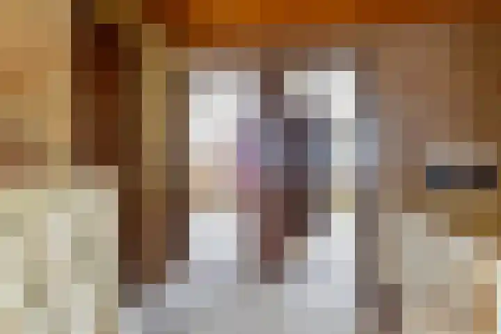 De Spil 7 Buitenpost thumbnail 21