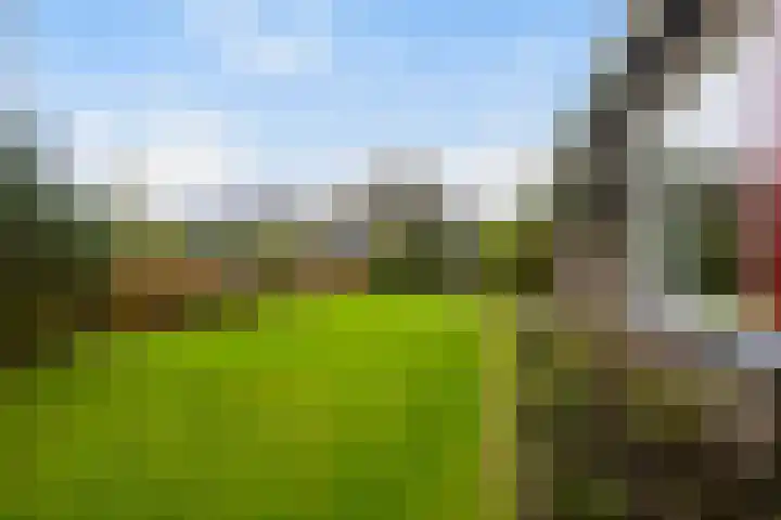 De Spil 7 Buitenpost thumbnail 32