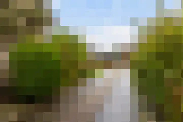 De Spil 7 Buitenpost thumbnail 38