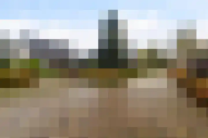 De Spil 7 Buitenpost thumbnail 41