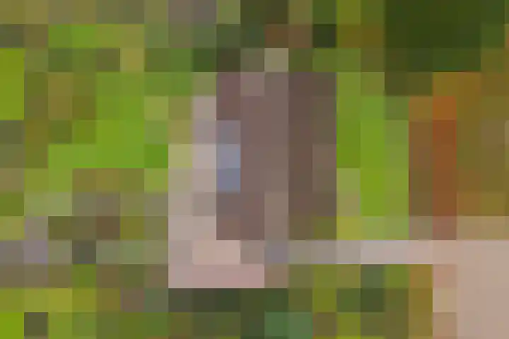 De Spil 7 Buitenpost thumbnail 45