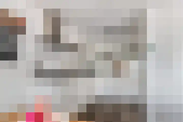 De Spin 120 Uitgeest thumbnail 11