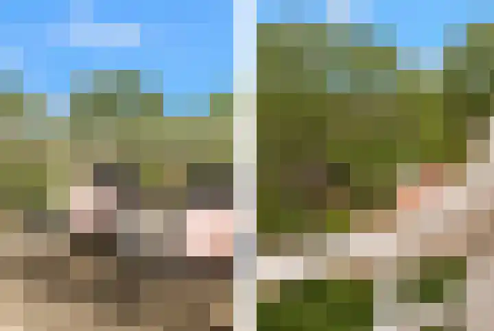 De Spin 120 Uitgeest thumbnail 13