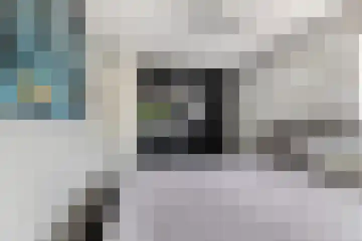 De Spin 120 Uitgeest thumbnail 16