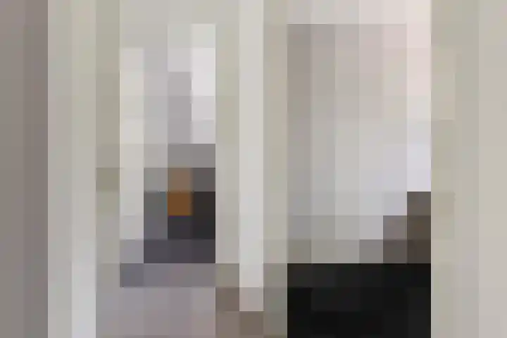 De Spin 120 Uitgeest thumbnail 19