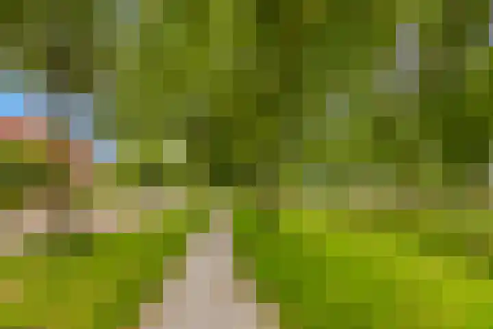 De Spin 120 Uitgeest thumbnail 26